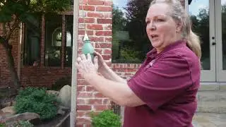 2 Quick Ways To Kill Cicada Killers