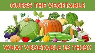 What Vegetable is this?