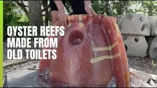 This reef is made from old toilets