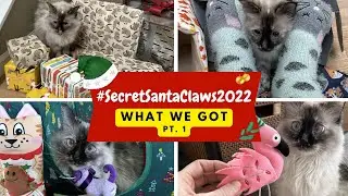 SecretSantaClaws2022 Gift Haul + Join the Fun in '23