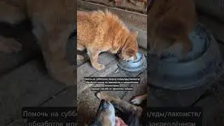 День 
