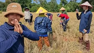 เกียวข้าวอาจติ๋