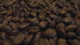&ldquo;Freshly Roasted Coffee Beans Up Close 🌱☕&rdquo;