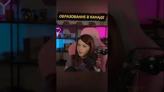 Образование в Канаде #twitch #стрим #canada