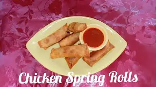 Chicken Spring Rolls / Easy & Tasty Snack / Ak Star Zone