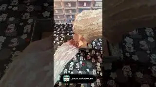 💎Mystery &eacute;kszer 💍 -  Az &uacute;j k&uuml;l&ouml;nlegess&eacute;g