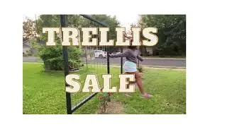 KBG Welding Trellis Commercial: starring Zelly Bean