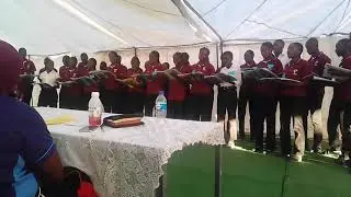 Onguti scm 2019