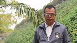 Ami Je Ke Tomar ! Kishore Kumar ! Cover By Pradip Roy