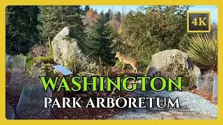 Washington Park Arboretum, Seattle 🇺🇸 | 4K Walking Tour
