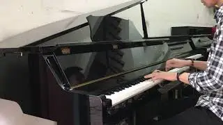 T&aacute;t Nhật L&atilde;ng Rực Rỡ - Yamaha GDP-2XG