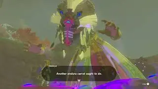 Link meets the Horse God