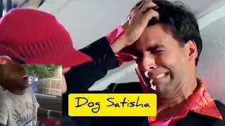 World s No 1 Dog Breeder Satish  The Truth Behind the Controversy   Success 🤑 #dog