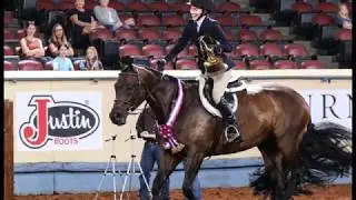 A Judge's Perspective: 2018 AQHYA Equitation Over Fences World Champion