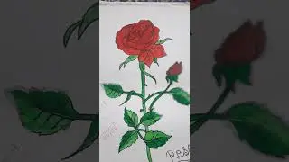 A rose #arts #creativity