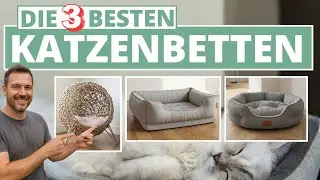Bestes Katzenbett - Top-3 Empfehlungen