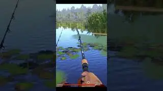 🐠🎣Амур на слабую снасть. Пришлось побегать😂Старый Острог Русская рыбалка 4 #shorts #fishing #gaming