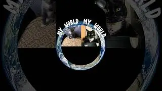 #slaygod #cat #pubgmobilemontageeditpremierepro #grwm #beauty #makeup #slaydevil #slaywiz #nails