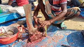 Golden Carp Fish Cutting Live In Fish Market | Miner Carp Fish Cutting