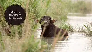 ilisu dam discussion mp4