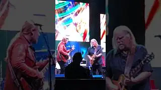 Freeway Jam #shredding #warrenhaynes #derektrucks #jeffbeck #ttb #govtmule #guitarduel #guitarsolo