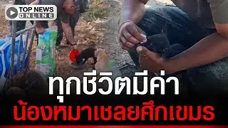 ชื่นชม ทหารไทยเดินให้อาหารน้องหมาที่ถูกพวกเขมรทิ้งไว้ในพื้นที่บ้านหนองจาน