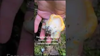 #foraging #lobsters in a forest #food #vegandiet
