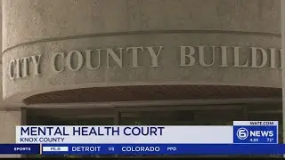 Knox County Mental Health Court seeing success