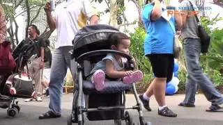 STAR event a hit with visitors
