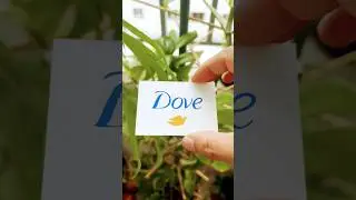How to Draw Dove Logo Easy | Ray Art #logo #dove #shorts #youtubeshorts