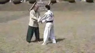 Hapkido Master.