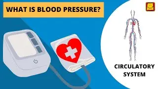 What is blood pressure?