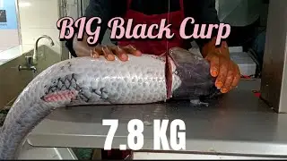 Big Fish Cutting & processing || Cutting master by saiful Islam...