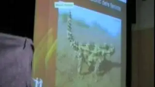 Els andosins en el context cultural de la segona guerra púnica (2008)