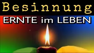 Ernte - DANK - Ernte im Leben #Dankbarkeit