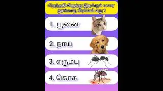 Gk question | Tamil gk quiz | General knowledge game | Question answer | Today riddles @konjamyosi