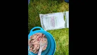 Feel like I'm on a bushtucker trial - Camp food reviews #shorts