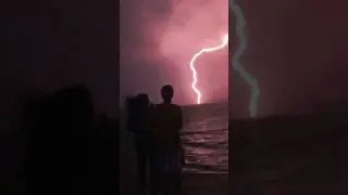 NBSPLV - Under The Sea