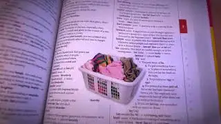 Scholastic Children's Dictionary Review