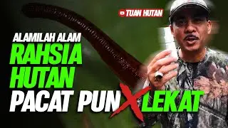 RAHSIA HUTAN PACAT PUN TAK LEKAT by Tuan Mejar Fitri