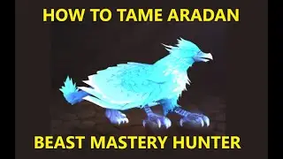 How To Tame Aradan! (BM Hunter)