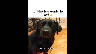 #dialogue