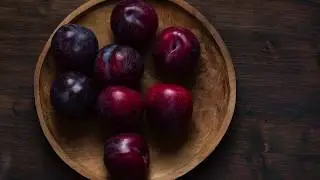 True Hunger Introduction