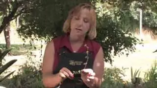 How to Plant Ivy