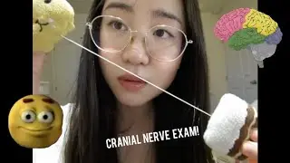 8 minute Cranial Nerve Exam 🧠🧠🧠