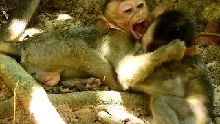 Oop ! Why Dustin Angry So Cruel Like This? Orphan Dustin Attack Baby Seriously