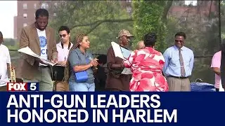 Anti-gun leaders honored in Harlem