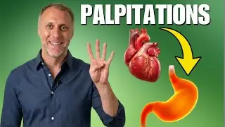 4 Reasons Your Gut Gives You Heart Palpitations