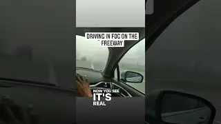 🚗🌫️ Mastering Foggy Freeway Driving: Tips for Safe Navigation! 🛣️😷