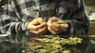 Rollin' a Blunt (B-Roll Hoochy Koochy)